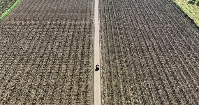 man farmer  driving red tractor on road between farms. path in middle of brown soil agriculture  feild