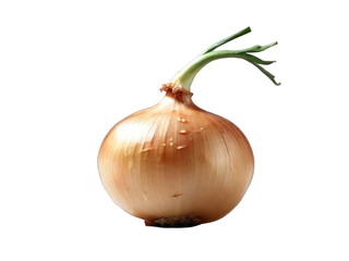 White background showcases isolated onion, a fresh and organic vegetable, with yellow, ripe bulbs, a key ingredient for healthy, vegetarian cooking