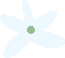 Jasmine Flower Illustration