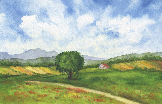 Big tree and rural house in the middle of green and yellow fields. Beautiful landscape, panoramic illustration. Watercolor hand drawn painting illustration