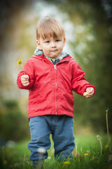 Cute little baby boy, adorned in a vibrant red jacket, discovers the enchantment of nature as he...