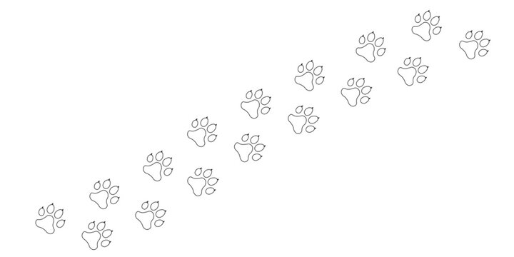 Paw print trail on white background. Vector cat or dog, pawprint walk line path pattern background.