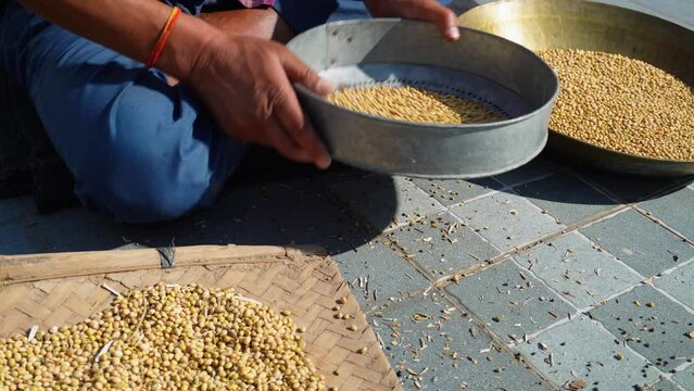 Manual Wheat Grain Cleaning: Using Stainer or Channi - Uttarakhand, India