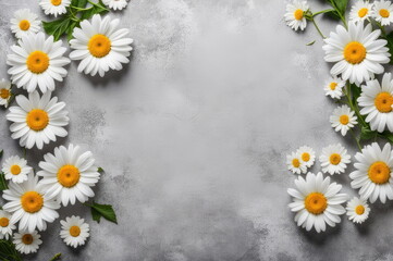 Fototapeta premium White Daisies on Textured Background