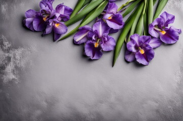 Purple Irises on Concrete Background