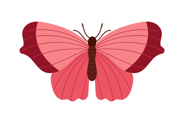 Obraz premium Butterfly flat vector isolated on white background. Hand drawn sketch element. Flying butterfly. Beautiful insect in flight. Minimalist Color Nature Illustration. Garden insect. Pink red Butterfly.