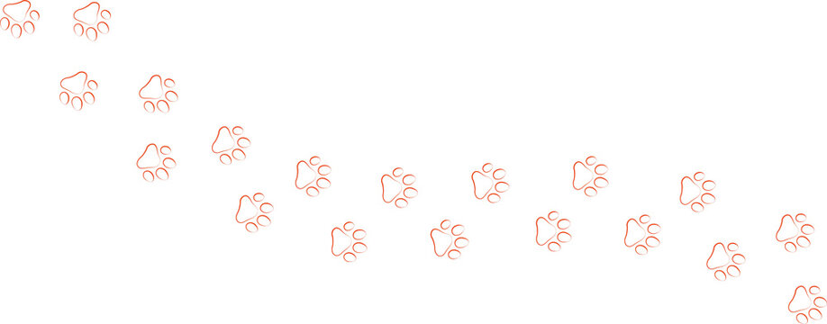 Paw print trail on white background. Vector cat or dog, pawprint walk line path pattern background.