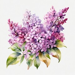 Fototapeta premium lilac flower illustration, watercolor style design. design for poster, greeting card, web, social media. ai generative