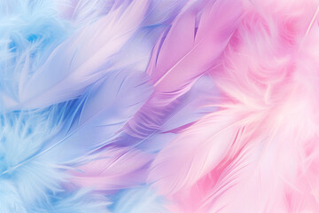 Obraz premium Pastel feather softness