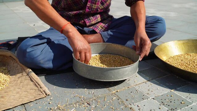 Manual Wheat Grain Cleaning: Using Stainer or Channi - Uttarakhand, India