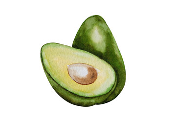 Watercolor avocado two halves, hand painted on paper, white background, isolated illustration for recipe, cookbook, design, backgrounds