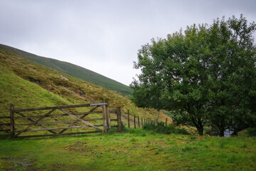 green Scottish hills with a wooden fence in a rainy day 