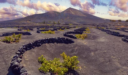 Foto auf Alu-Dibond Viñedo de La Geria en suelo volcánico negro. Paisaje escénico con viñedos volcánicos. Lanzarote. Islas Canarias. España. © C.Castilla