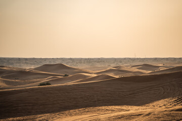 Fototapeta na wymiar Wüste bei Sonnenuntergang