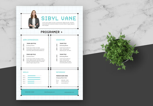 Black and Blue Programer Resume