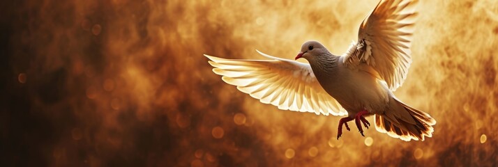 Holy Spirit Dove, New Testament Proclamation with Copy Space - obrazy, fototapety, plakaty