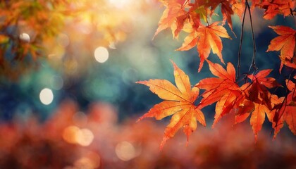 Autumnal Elegance: Captivating Maple Leaves Amidst Soft Focus Light and Bokeh Backdrop"