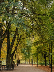 Naklejka premium Beautiful alley in the Bernardine Gardens (Bernardinų sodas) in Vilnius in autumn