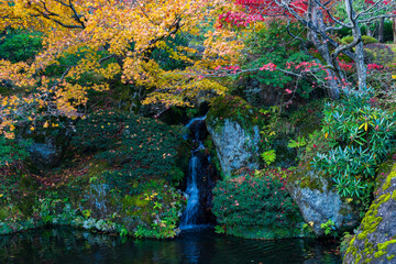 日本の風景・秋　紅葉の箱根美術館　神仙郷