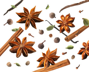 Different aromatic spices falling on white background