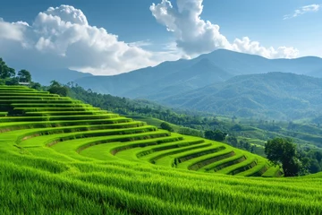 Fototapeten Green rice field with mountain backdrop in Chiang Mai, Thailand © darshika