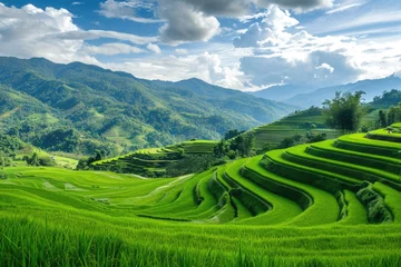 Fotobehang Green rice field with mountain backdrop in Chiang Mai, Thailand © darshika