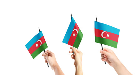 A group of people are holding small flags of Azerbaijan in their hands.