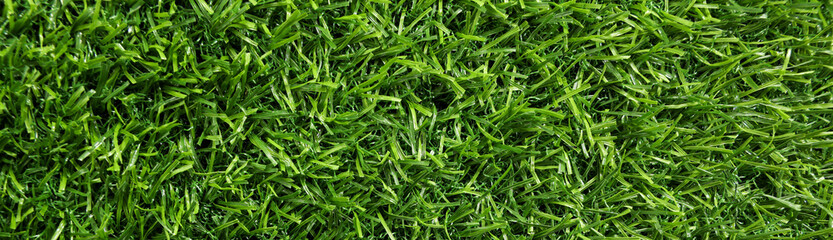 Fototapeta na wymiar Fresh green grass as background outdoors, top view. Banner design
