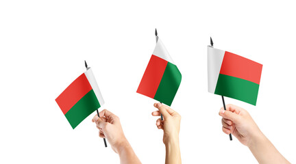 A group of people are holding small flags of Madagascar in their hands.