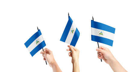 A group of people are holding small flags of Nicaragua in their hands.