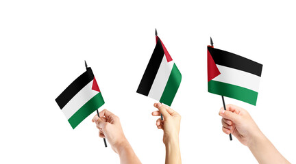 A group of people are holding small flags of Palestine in their hands.