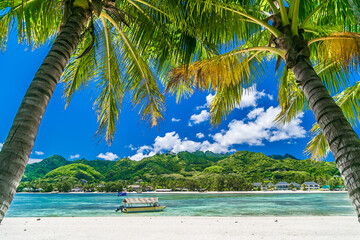 Tropical bay, paradise destination on the Cook Islands. Rarotonga coast with palm tree during a...