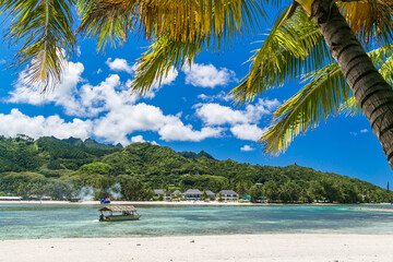 Tropical bay, paradise destination on the Cook Islands. Rarotonga coast with palm tree during a sunny day. One boat on the sea. Blue sky with clouds and turquoise water. Partly cloudly.