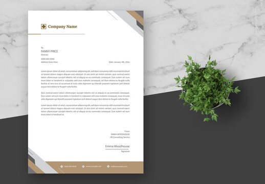 Brown And White Corporate Letterhead