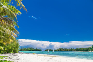 Tropical bay, paradise destination on the Cook Islands.Rarotonga coast with palm trees during a sunny day. Three sailboats in the background at sea. Blue sky with  turquoise water. Place copy space.
