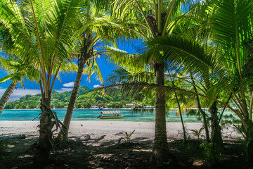 Tropical bay, paradise destination on the Cook Islands. Rarotonga coast with palm trees during a sunny day. One boat with Cook Islands flag on the turquoise sea.