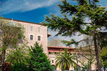 Palace of Ibrahim Pasha. The wall of Ibrahim Pasha's palace and a lot of vegetation near it.