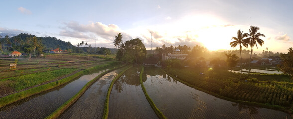 Cascade of rice terraces at sunset, panorama