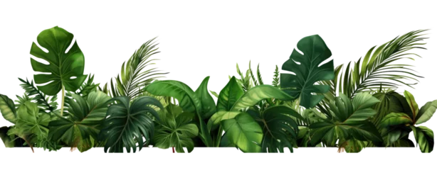 Foto op Plexiglas Plant leaves Green nature Tropical forest isolated on white and transparent background PNG © Jo