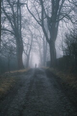 Person with dog in foggy forest