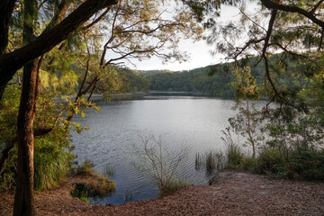 Afternoon view of Blue Lake in the Naree Budjong Djara National Park, Stradbroke Island (Minjerriba), Queensland, Australia.