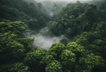 AI generated illustration of a lush green forest on a foggy day - obrazy, fototapety, plakaty