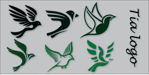Best Tia logo Bird Vector design