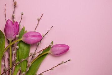 Mother's Day concept. Top view photo of pink tulips and pussy-willow branches on  light pink backround. Flat lay. Space for text.
