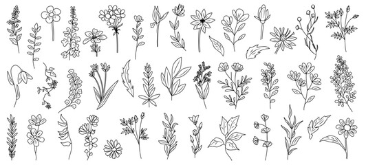 Set of tiny wild flowers and plants line art vector botanical illustrations. Trendy greenery hand drawn black ink sketches collection. Modern design for logo, tattoo, wall art, branding and packaging. - obrazy, fototapety, plakaty