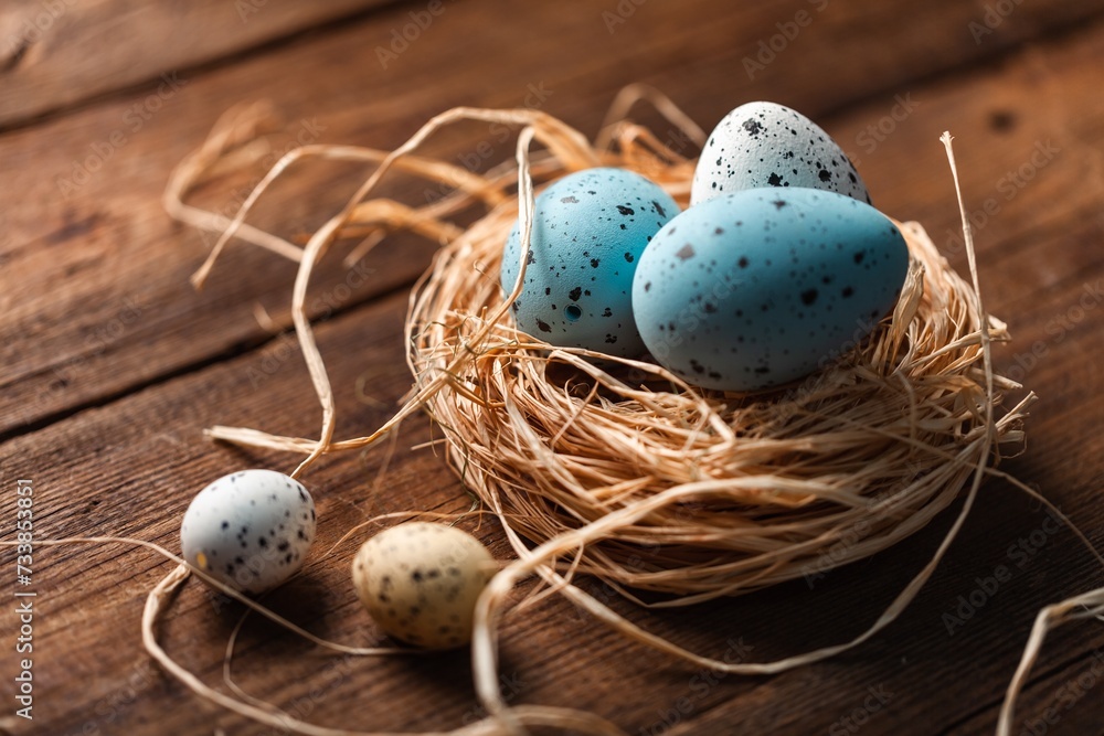 Canvas Prints Easter concept, colored eggs in nest