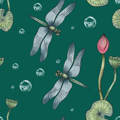 Dragonfly set