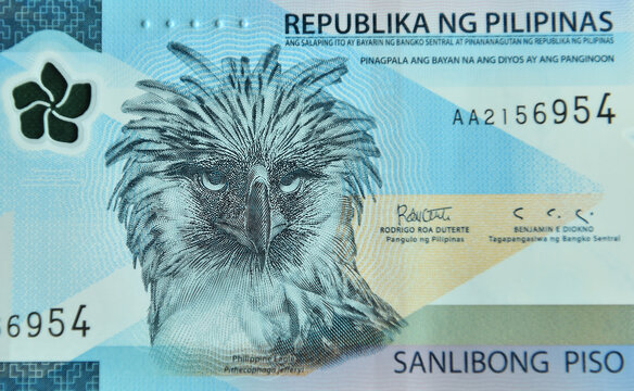 aguila filipina o aguila monera en un billete de banco de Filipinas