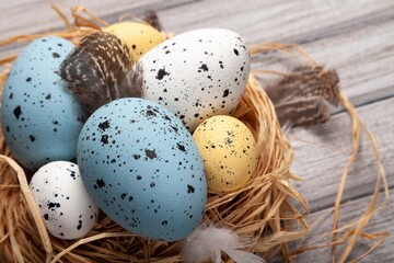 Naklejka na ściany i meble Easter concept, colored eggs in nest