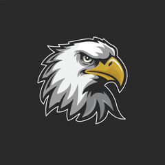 american bald eagle illustration